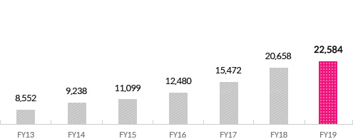 Shareholder's Equity Graph